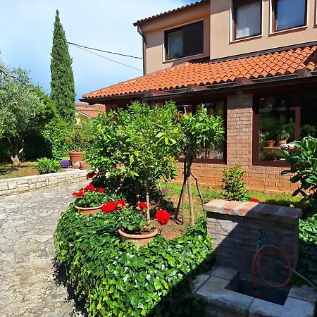 Apartman Sofia
